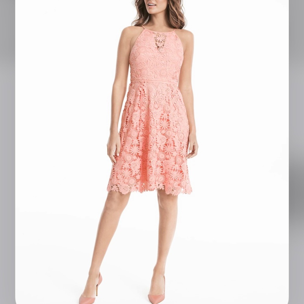 WHBM Pink Halter Tonal Lace Fit And Flare Dress A-Line Cocktail Party S 4
